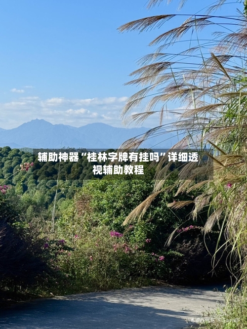 辅助神器“桂林字牌有挂吗”详细透视辅助教程-第2张图片