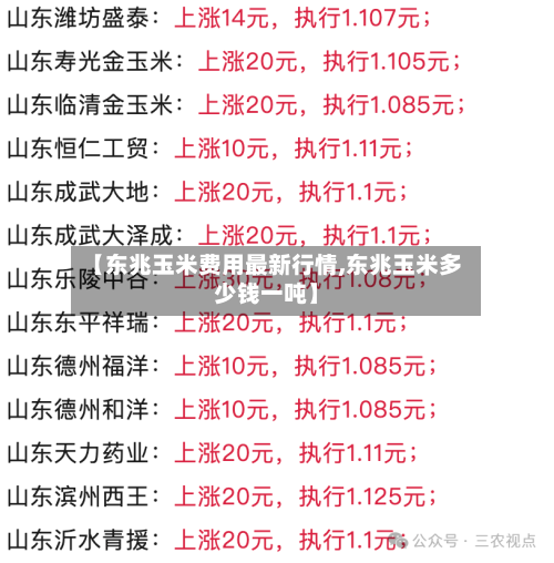 【东兆玉米费用最新行情,东兆玉米多少钱一吨】