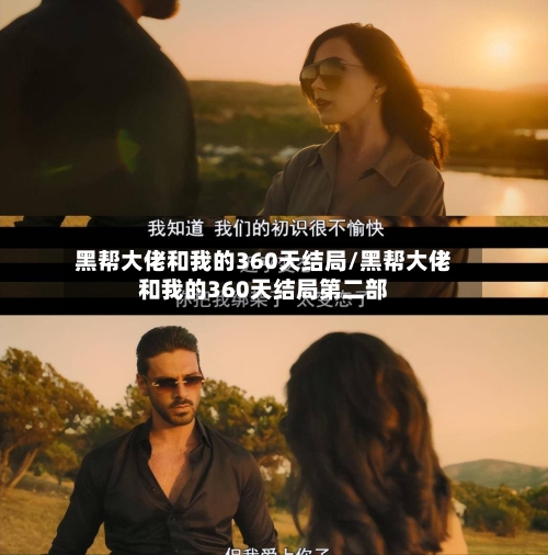 黑帮大佬和我的360天结局/黑帮大佬和我的360天结局第二部-第3张图片
