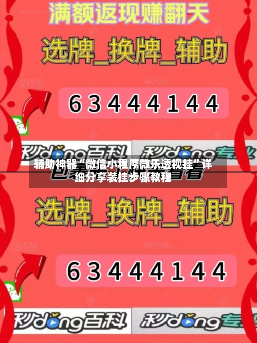 辅助神器“微信小程序微乐透视挂”详细分享装挂步骤教程-第3张图片