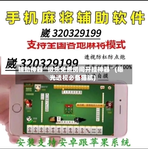 辅助神器“微乐免费房间开挂神器”(曝光透视必备猫腻)-第3张图片