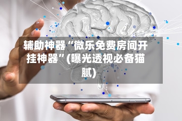 辅助神器“微乐免费房间开挂神器”(曝光透视必备猫腻)