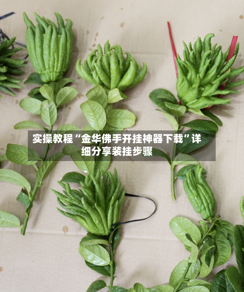 实操教程“金华佛手开挂神器下载”详细分享装挂步骤