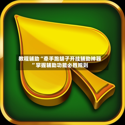 教程辅助“牵手跑胡子开挂辅助神器”掌握辅助功能必胜规则-第3张图片