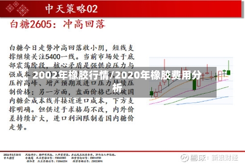 2002年橡胶行情/2020年橡胶费用分析