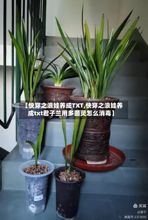 【快穿之浪娃养成TXT,快穿之浪娃养成txt君子兰用多菌灵怎么消毒】-第2张图片