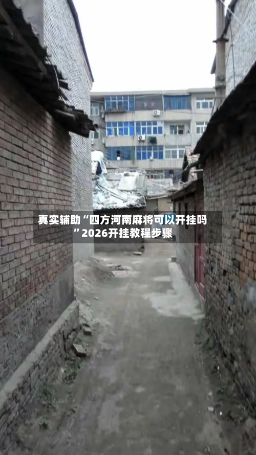 真实辅助“四方河南麻将可以开挂吗”2026开挂教程步骤-第2张图片