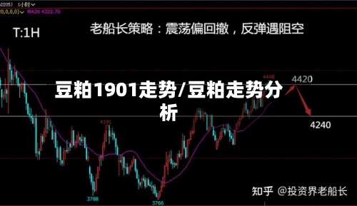 豆粕1901走势/豆粕走势分析-第3张图片