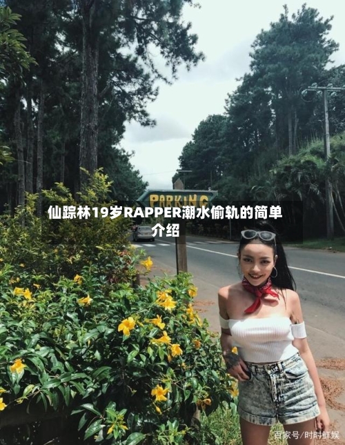 仙踪林19岁RAPPER潮水偷轨的简单介绍-第3张图片