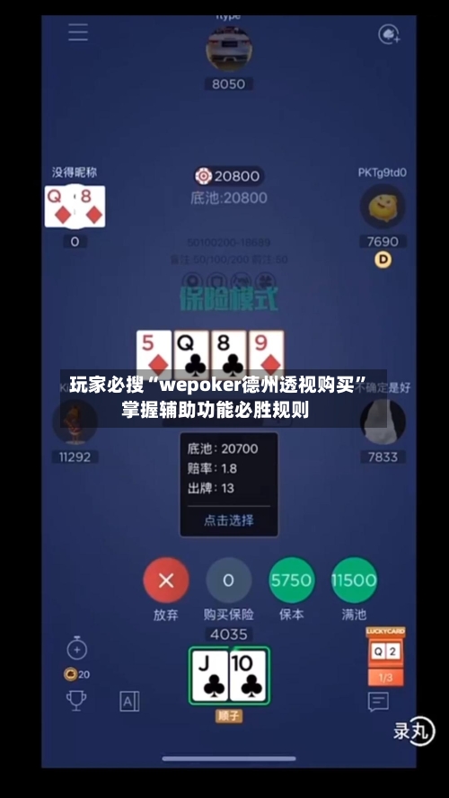 玩家必搜“wepoker德州透视购买”掌握辅助功能必胜规则-第3张图片