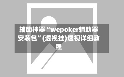 辅助神器“wepoker辅助器安装包”(透视挂)透视详细教程-第2张图片