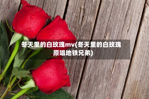 冬天里的白玫瑰mv(冬天里的白玫瑰原唱地铁兄弟)-第2张图片