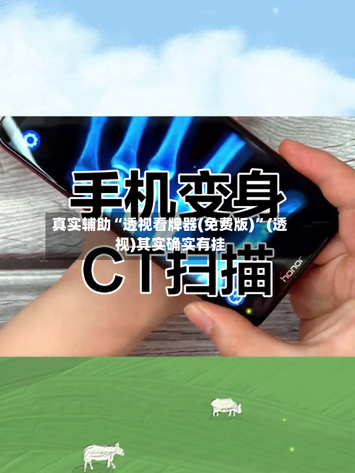 真实辅助“透视看牌器(免费版)”(透视)其实确实有挂-第2张图片