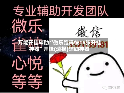 万能开挂辅助“微乐跑得快16张开挂神器”开挂(透视)辅助神器-第3张图片