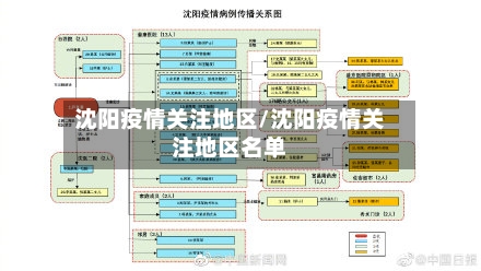 沈阳疫情关注地区/沈阳疫情关注地区名单-第2张图片