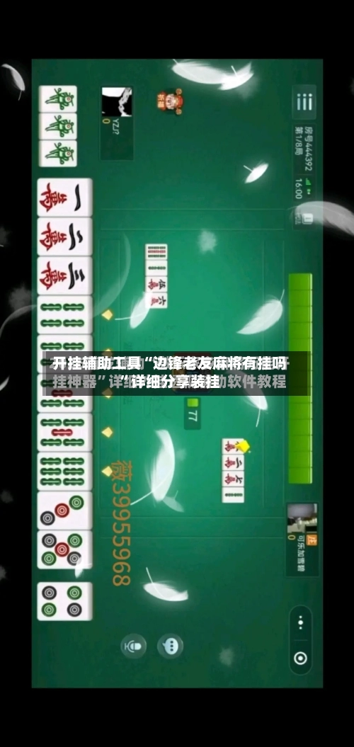 开挂辅助工具“边锋老友麻将有挂吗”详细分享装挂-第2张图片