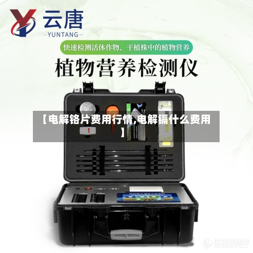 【电解铬片费用行情,电解镉什么费用】