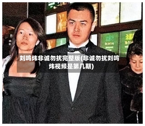 刘鸣炜非诚勿扰完整版(非诚勿扰刘鸣炜视频是第几期)