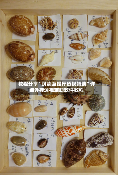 教程分享“贝壳互娱厅透视辅助”详细外挂透视辅助软件教程-第2张图片