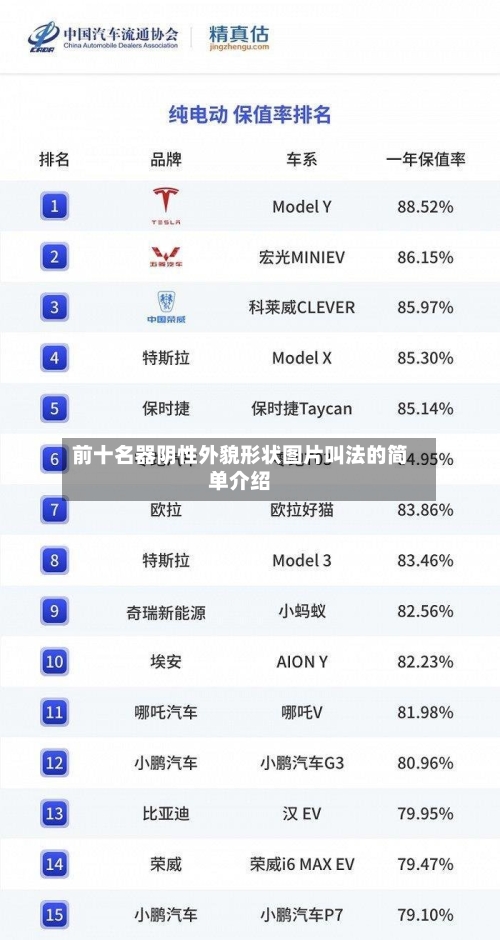 前十名器阴性外貌形状图片叫法的简单介绍-第2张图片
