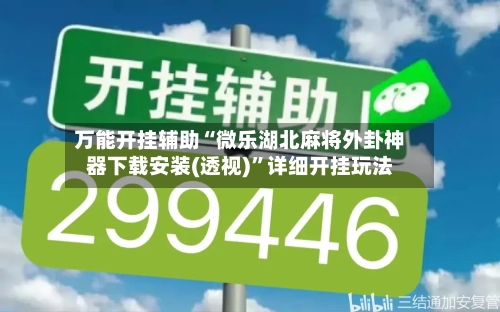 万能开挂辅助“微乐湖北麻将外卦神器下载安装(透视)”详细开挂玩法-第3张图片