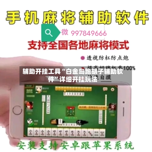 辅助开挂工具“白金岛跑胡子辅助软件”详细开挂玩法-第2张图片