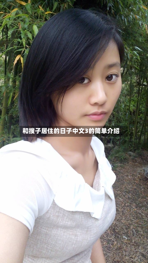 和搜子居住的日子中文3的简单介绍
