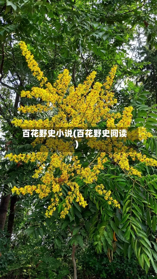 百花野史小说(百花野史阅读)-第2张图片