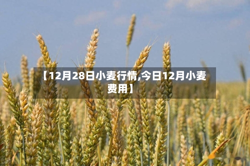 【12月28日小麦行情,今日12月小麦费用】-第3张图片