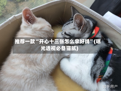 推荐一款“开心十三张怎么拿好牌”(曝光透视必备猫腻)