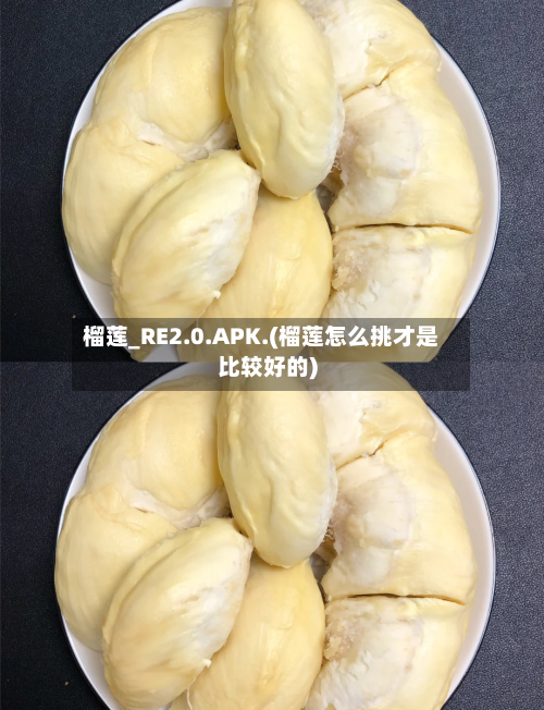 榴莲_RE2.0.APK.(榴莲怎么挑才是比较好的)-第3张图片