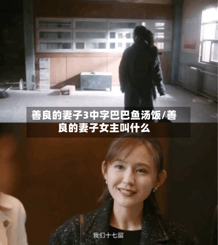 善良的妻子3中字巴巴鱼汤饭/善良的妻子女主叫什么