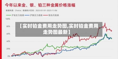 【实时铂金费用走势图,实时铂金费用走势图最新】
