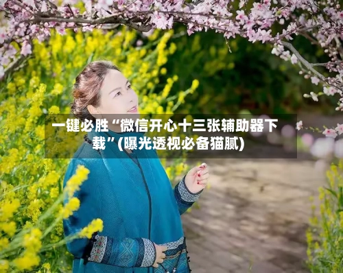 一键必胜“微信开心十三张辅助器下载”(曝光透视必备猫腻)