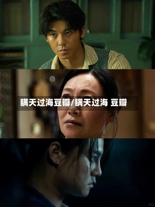 瞒天过海豆瓣/瞒天过海 豆瓣-第2张图片