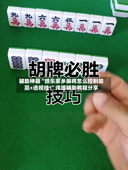 辅助神器“微乐家乡麻将怎么控制输赢+透视挂!”详细辅助教程分享-第3张图片