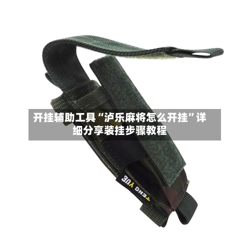 开挂辅助工具“泸乐麻将怎么开挂”详细分享装挂步骤教程-第2张图片