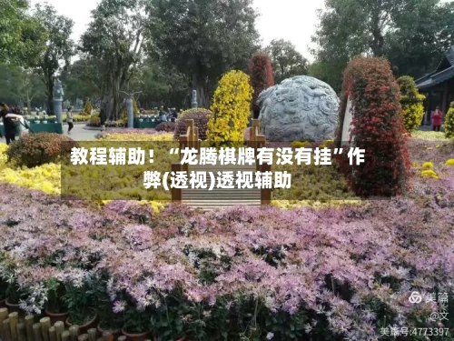 教程辅助！“龙腾棋牌有没有挂”作弊(透视)透视辅助-第3张图片