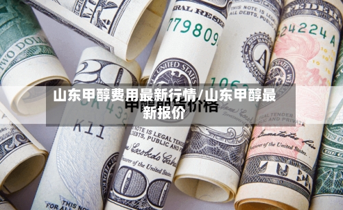 山东甲醇费用最新行情/山东甲醇最新报价-第3张图片