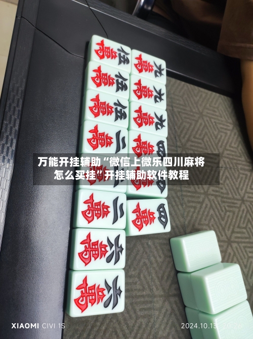 万能开挂辅助“微信上微乐四川麻将怎么买挂”开挂辅助软件教程-第2张图片