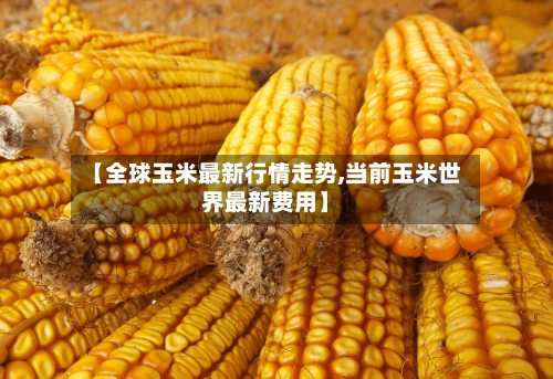 【全球玉米最新行情走势,当前玉米世界最新费用】-第2张图片