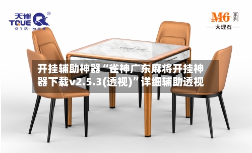 开挂辅助神器“雀神广东麻将开挂神器下载v2.5.3(透视)”详细辅助透视-第3张图片