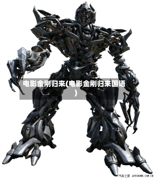 电影金刚归来(电影金刚归来国语)