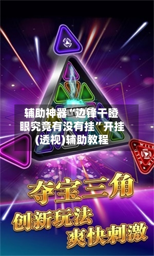 辅助神器“边锋干瞪眼究竟有没有挂”开挂(透视)辅助教程-第2张图片
