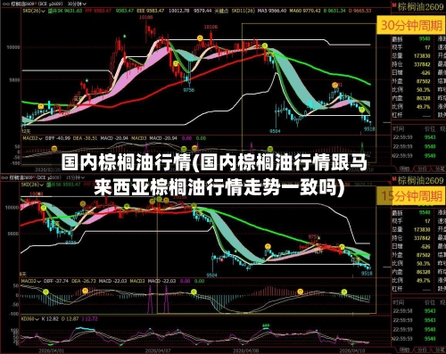国内棕榈油行情(国内棕榈油行情跟马来西亚棕榈油行情走势一致吗)-第3张图片