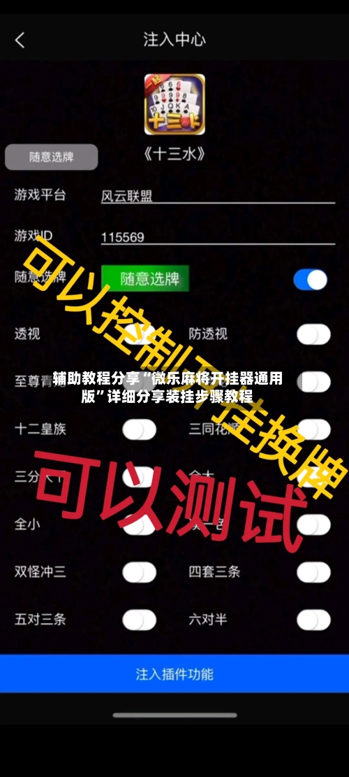 辅助教程分享“微乐麻将开挂器通用版	”详细分享装挂步骤教程-第2张图片