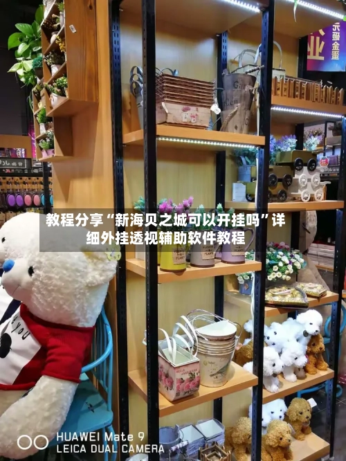 教程分享“新海贝之城可以开挂吗”详细外挂透视辅助软件教程-第2张图片