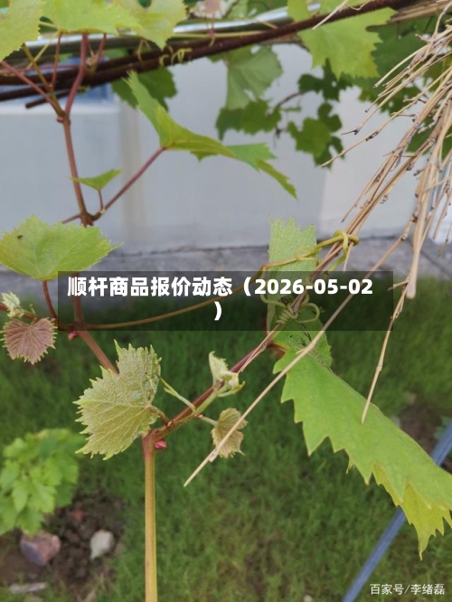 顺杆商品报价动态（2026-05-02）-第3张图片