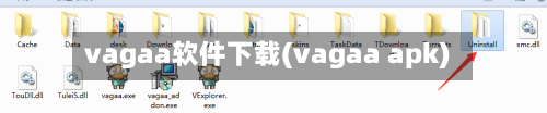 vagaa软件下载(vagaa apk)-第2张图片