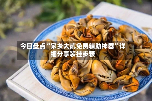 今日盘点“家乡大贰免费辅助神器”详细分享装挂步骤-第3张图片